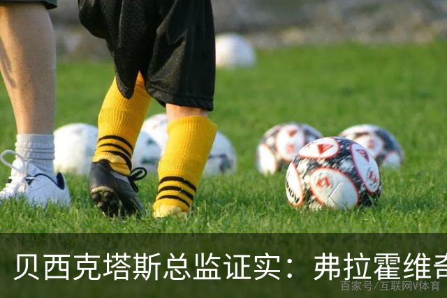贝西克塔斯总监证实：弗拉霍维奇更想留五大联赛，萨拉赫谈判告吹