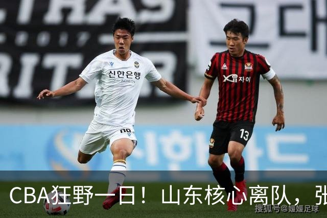 CBA狂野一日！山东核心离队，张帆重获新生，浙江广厦惨遭拆队！